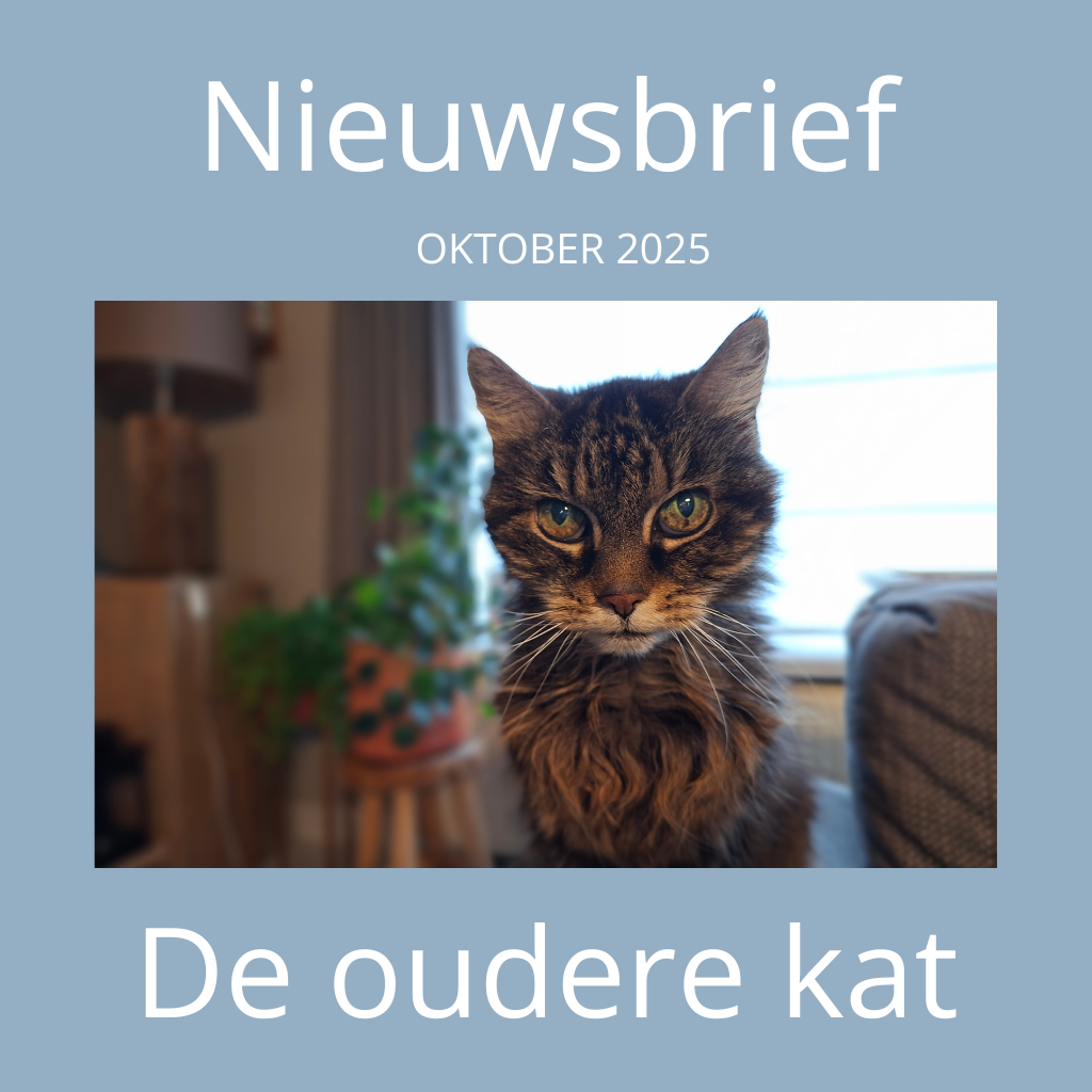 Banner oktober2025