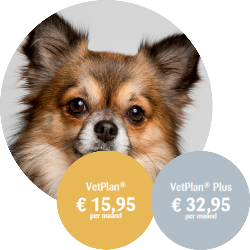 VetPlan® Hond
