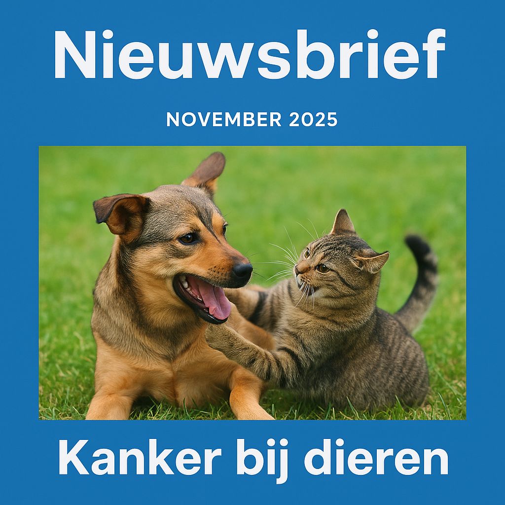Nieuwbrief november 2025
