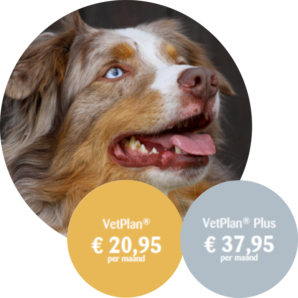VetPlan® Hond 10-20kg