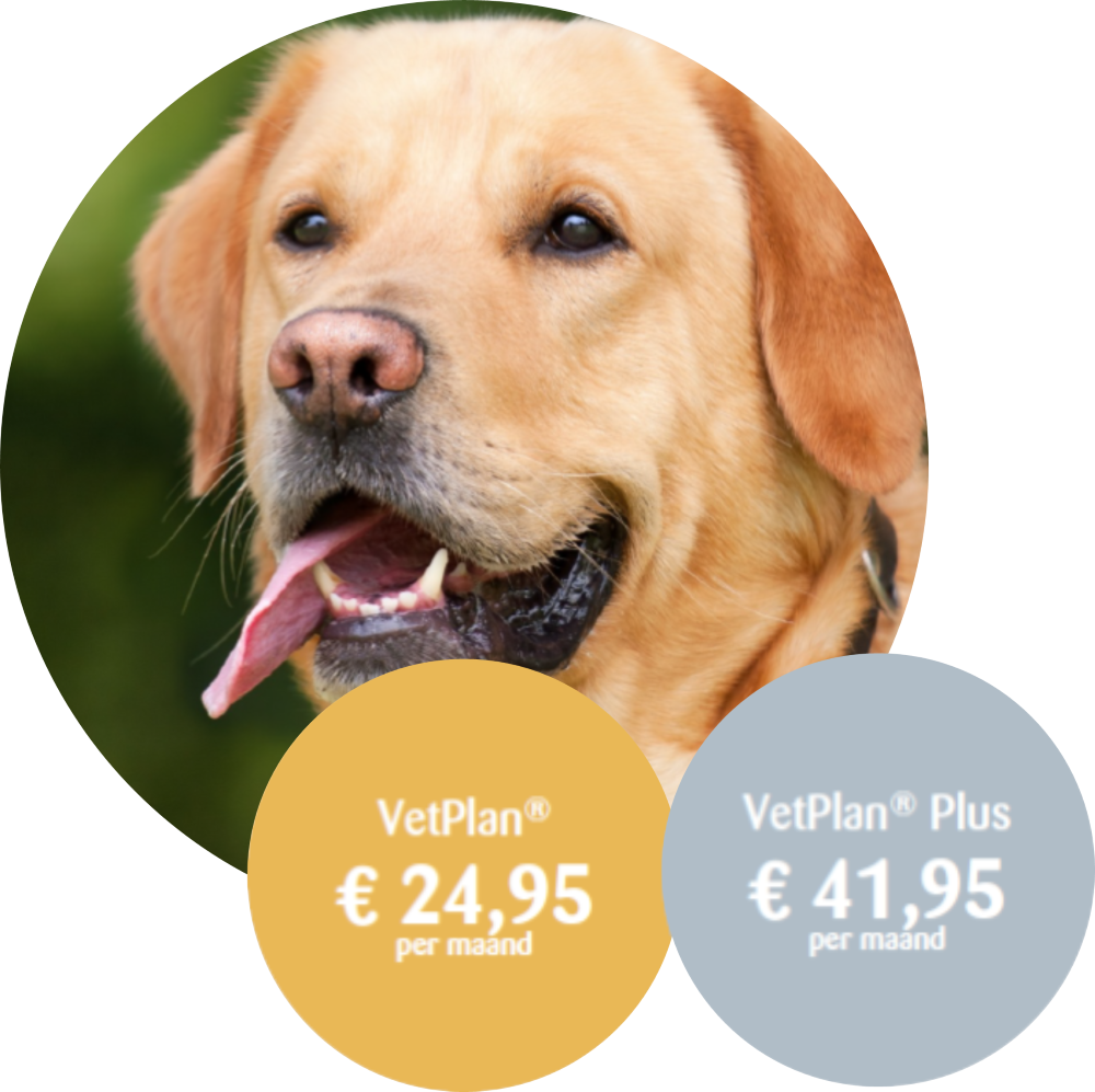 VetPlan® Hond 20-40kg