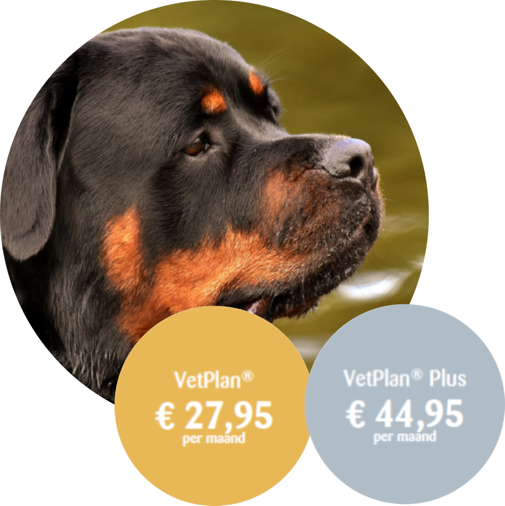VetPlan® Hond 40-60kg