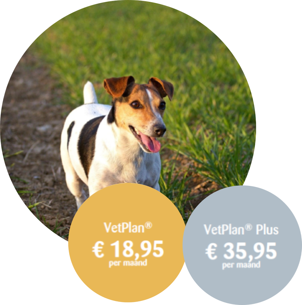 VetPlan® Hond 5-10kg