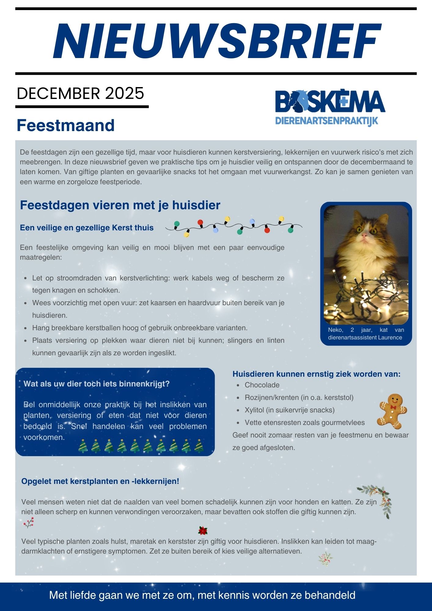 Nieuwsbrief december 2025 1