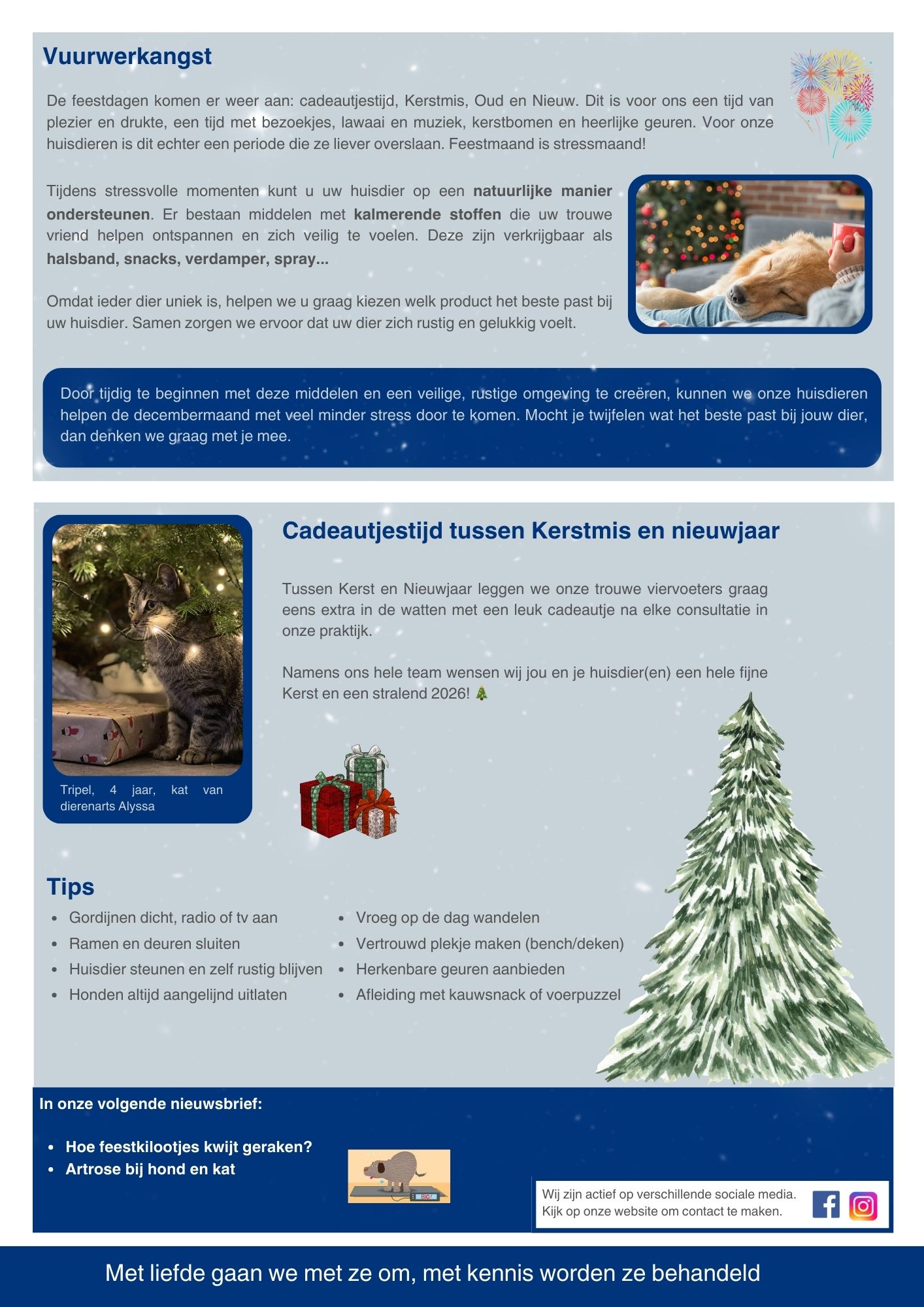 Nieuwsbrief december 2025 2